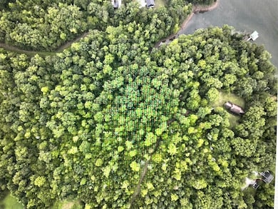 Lot 5 Reservoir View Dr, Pittsville, VA 24139 - photo 3