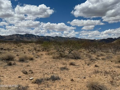 IMG_0130 (1)