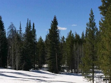 33230 Filly Trail, Oak Creek, CO 80467 - photo 6