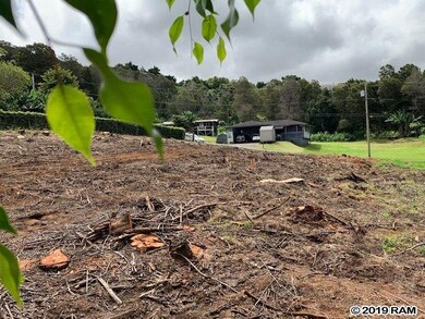 23 Upu Place, Kula, HI 96790 - photo 2