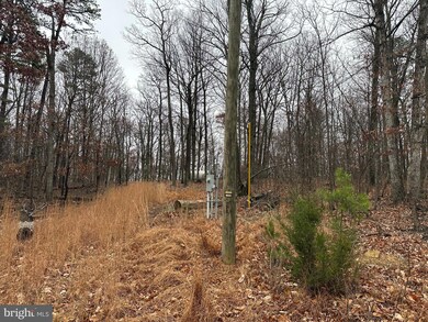 0 Doman Ridge Rd unit WVHS2007072, Romney, WV 26757 - photo 3