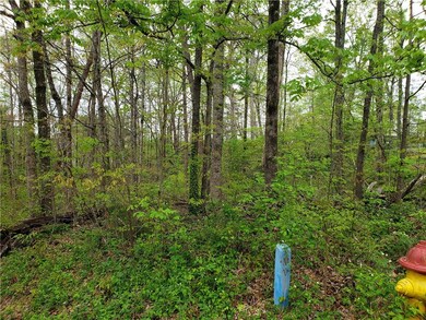 00 Forest Acres Cir Evergreen Dr Dr, Walhalla, SC 29691 - photo 2