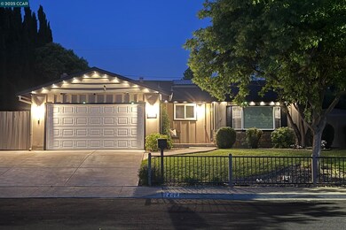 A Vibrant Outdoor Lighting Experience