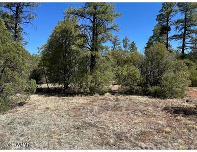 0 Show Low Lake Rd, Show Low, AZ 85901 - photo 7
