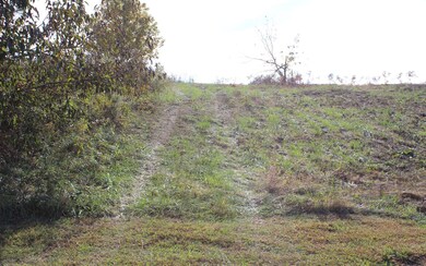 Additional View