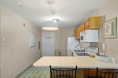 115 Weirs Rd unit 109B, Gilford, NH 03249 - photo 6