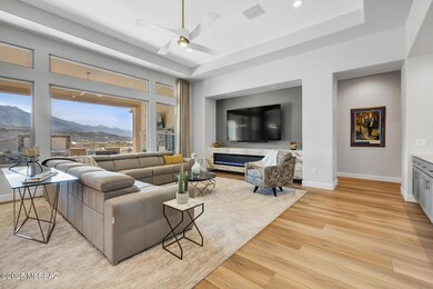 Media Wall/Fireplace
