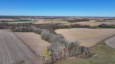 TBD County 10, Caledonia Township, MN 55921 - photo 4