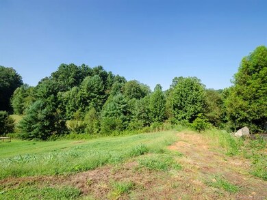 90 Bear Creek Hills Dr unit 4, Leicester, NC 28748 - photo 2