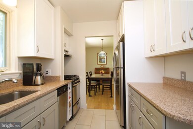 7508 16th Ave, Takoma Park, MD 20912 - photo 5