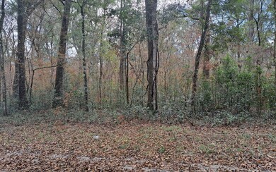 TBD Bumble St, Fort White, FL 32038 - photo 6