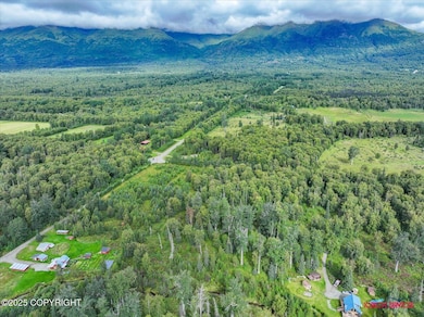 6114 E Altra Dr, Fishhook, AK 99645 - photo 3