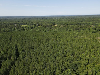 18121 Jordan Grove Road Exd, Dozier, AL 36028 - photo 2