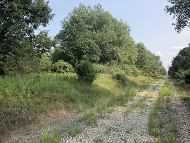 487 Lincoln Lake Ave SE, Lowell, MI 49331 - photo 5