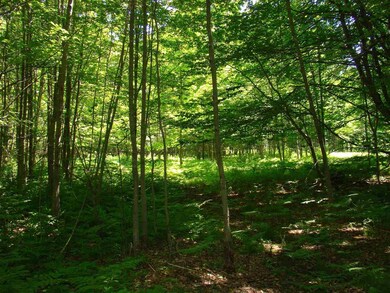 15 Taylor Ln, Whitingham, VT 05361 - photo 5