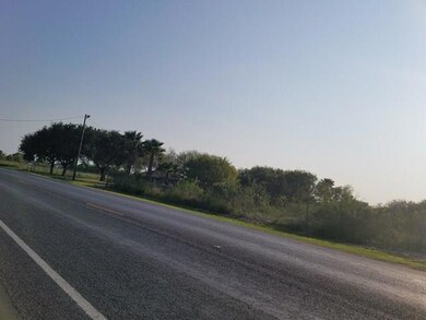 7137 & 7125 S Fm 493, Donna, TX 78537 - photo 3