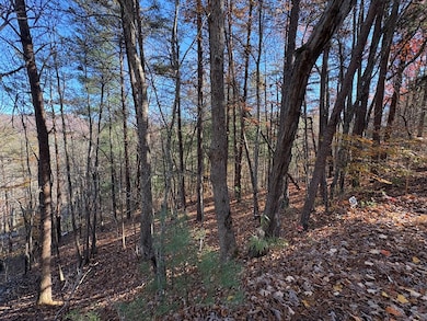 Mountains Through the Trees