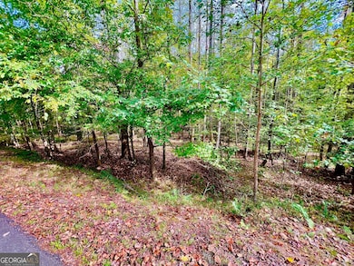 574 Satsuma Ct, Ellijay, GA 30540 - photo 3