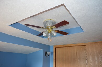 TRAY CEILINGS