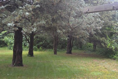 17 Norris Ave, Oak Bluffs, MA 02557 - photo 5