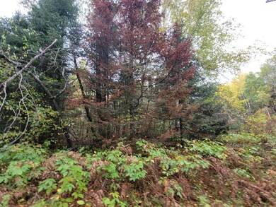 ON Cth B unit Lot 2, Antigo, WI 54424 - photo 7