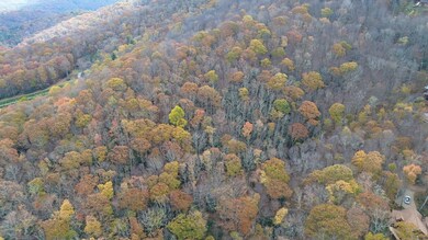 Lt 7 Buck Knob, Cullowhee, NC 28723 - photo 4