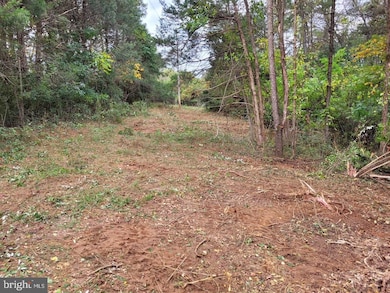 Lot 19 Burch Ln, Boyce, VA 22620 - photo 2