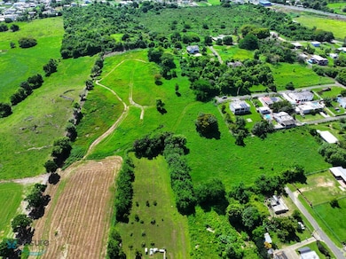 0 Calle de La Cruz, Camuy, PR 00627 - photo 6