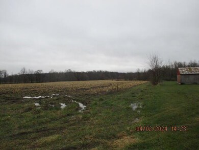 IMG_1358