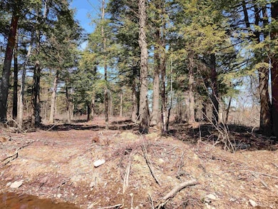 TBD Black Creek (West) Rd, Skanee, MI 49962 - photo 2