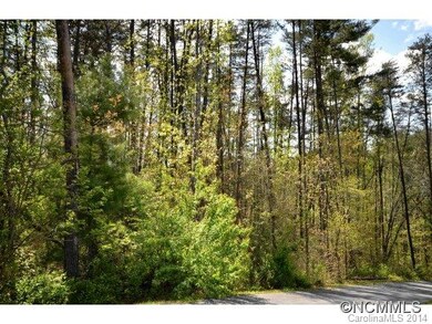 50 Cane Brook Dr unit 10, Leicester, NC 28748 - photo 2