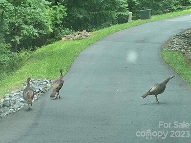 Lot 8 Deep Spring Rd, Dillsboro, NC 28779 - photo 4