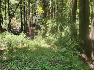 0 Lost Valley Rd unit ML82027788, Los Gatos, CA 95033 - photo 3