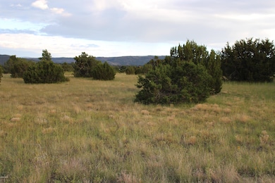 Elk Crest Lot 12 (7)