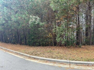 21 Bob White Way, Pittsboro, NC 27312 - photo 5