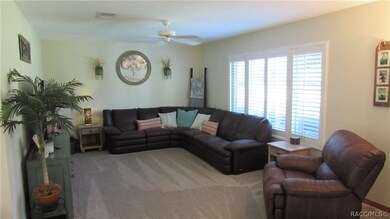living room with new dual pane windows and plantat