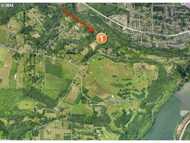 24700 SW Stafford Summit Ct, West Linn, OR 97068 - photo 7