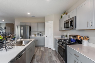 34462 Moonflower Ave, Wesley Chapel, FL 33545 - photo 4