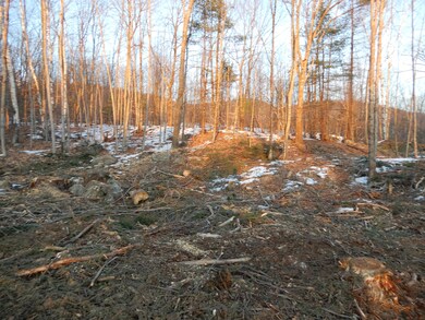 00 Tripptown, Hiram, ME 04041 - photo 7