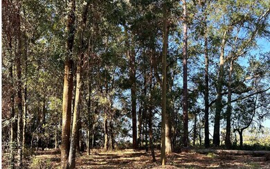 00 282nd Terrace, Branford, FL 32008 - photo 2