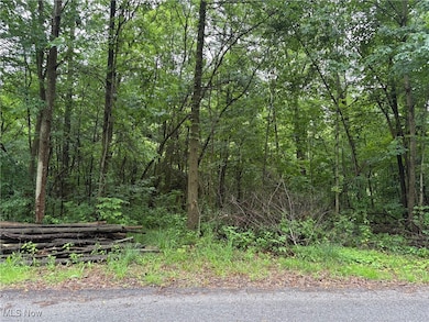 2077 Coleman Ave, Akron, OH 44312 - photo 4