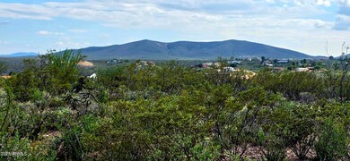 TBD N Rosa Ct unit 602, Tombstone, AZ 85638 - photo 3