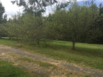 33 Mccormick Rd, Spencer, MA 01562 - photo 3