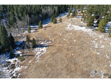 0 Arapahoe Dr, Bellvue, CO 80512 - photo 3