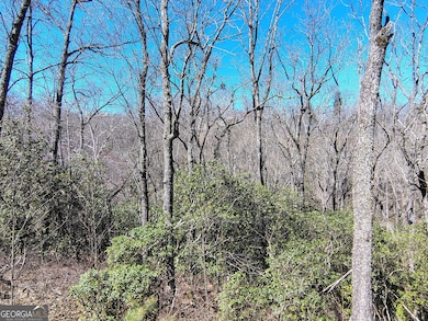 0 Ivy Ridge Way unit LOT 50 10487398, Clarkesville, GA 30523 - photo 5