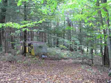 57 Horse Hill Rd, Hadley, NY 12835 - photo 5