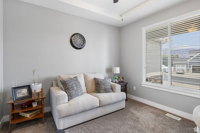 924 W 1390 S, Spanish Fork, UT 84660 - photo 5