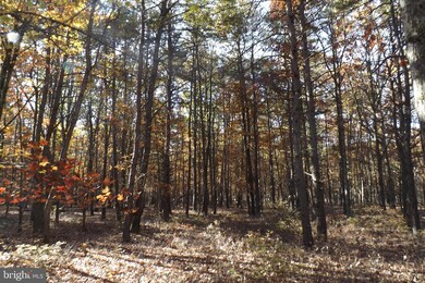 10 S Branch Rd, Levels, WV 25431 - photo 6