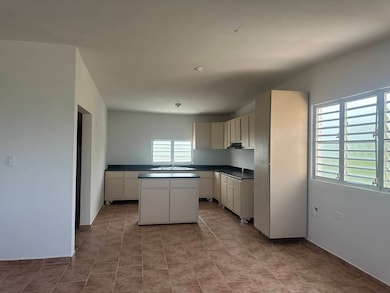 carr. 681 Bo Islote, Arecibo, PR 00612 - photo 6