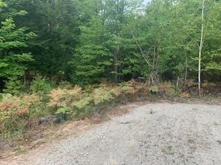 0 Lot 4 Harvest Ln unit 1485968, Bridgton, ME 04009 - photo 2
